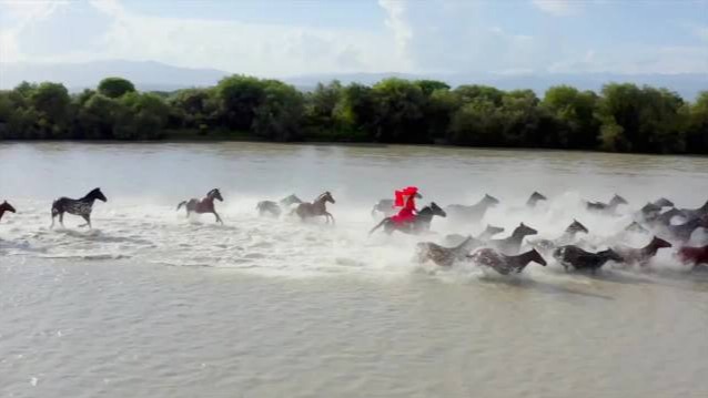 新疆网红女副局长贺娇龙策马浴河发生意外 连人带马摔河里