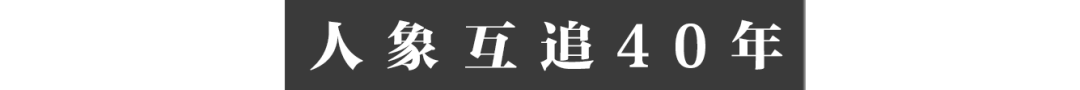 云南大象家族出走地村民:它们吃了我们二三十年