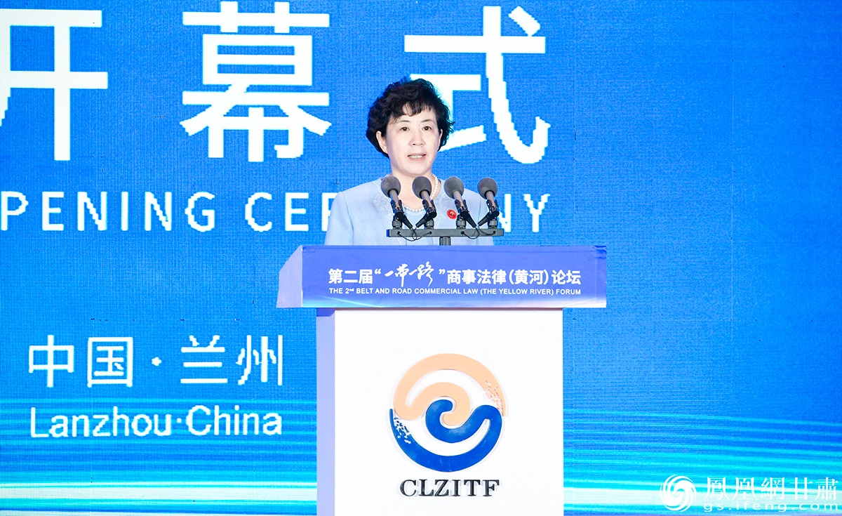 甘肃省副省长何伟致辞 杨艺锴 摄