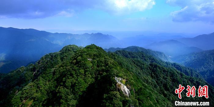 广东将查处侵占自然保护地开发房地产问题