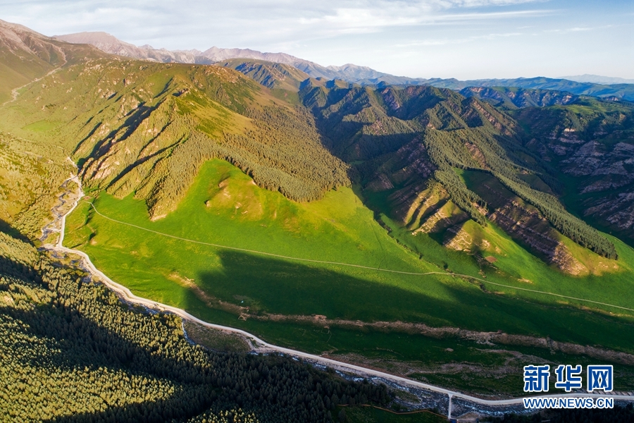 盛夏时节，位于祁连山区的冰沟河生态文化旅游景区绿意盎然，苍松翠柏与碧草、野花、蓝天相互映衬，放眼望去，如诗如画。新华网发（成林 摄）