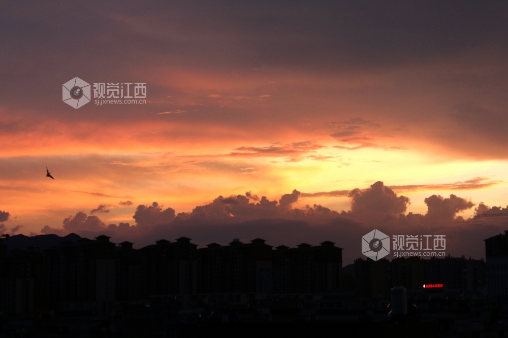 遂川:雨后天空惊艳 “绚丽晚霞”格外迷人