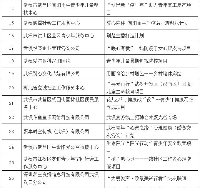 2020年武汉市“出彩青春”公益创投大赛专家评审结果公示