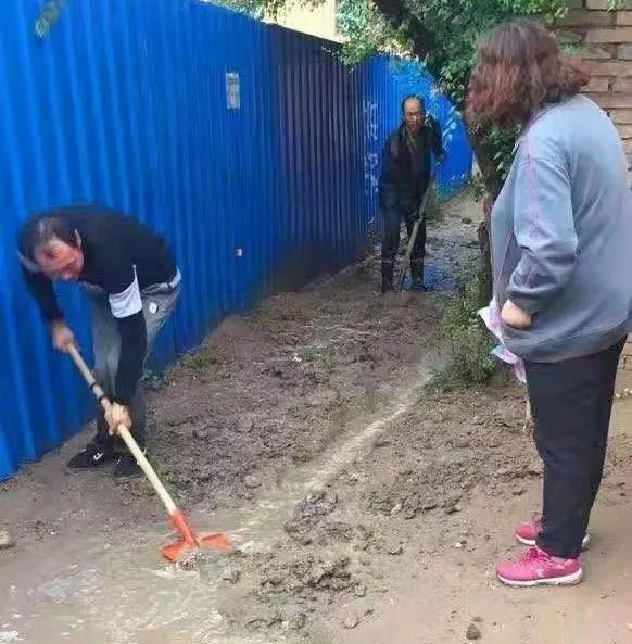 穿梭社区大街小巷 群众贴心人王玉萍的点滴故事暖人心