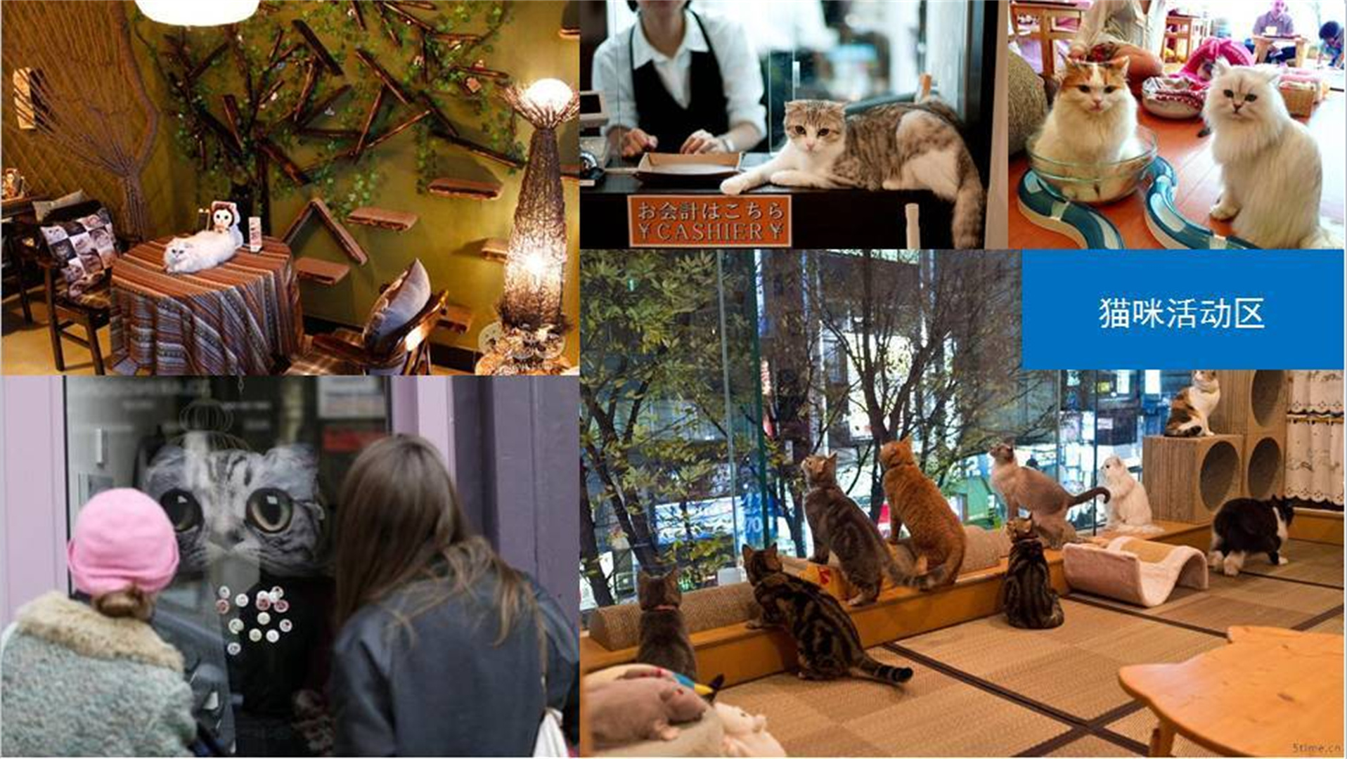 快来pick 谁才是高新最靓的GAI