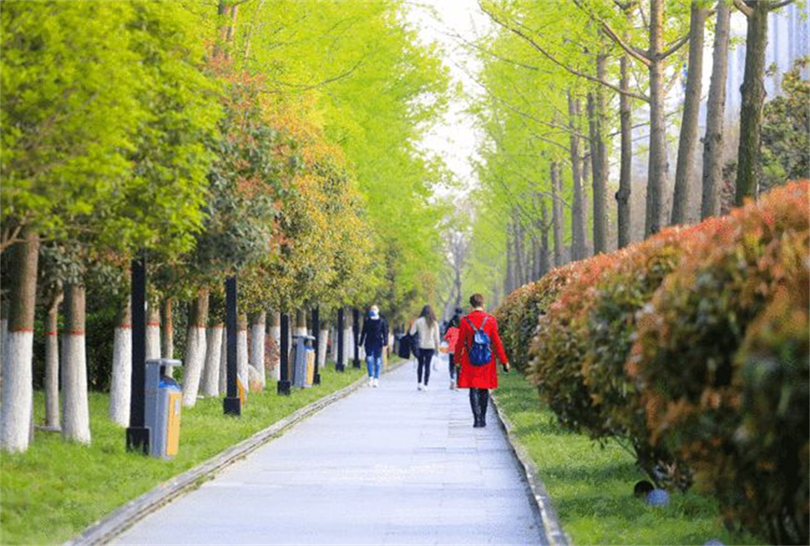 快来pick 谁才是高新最靓的GAI