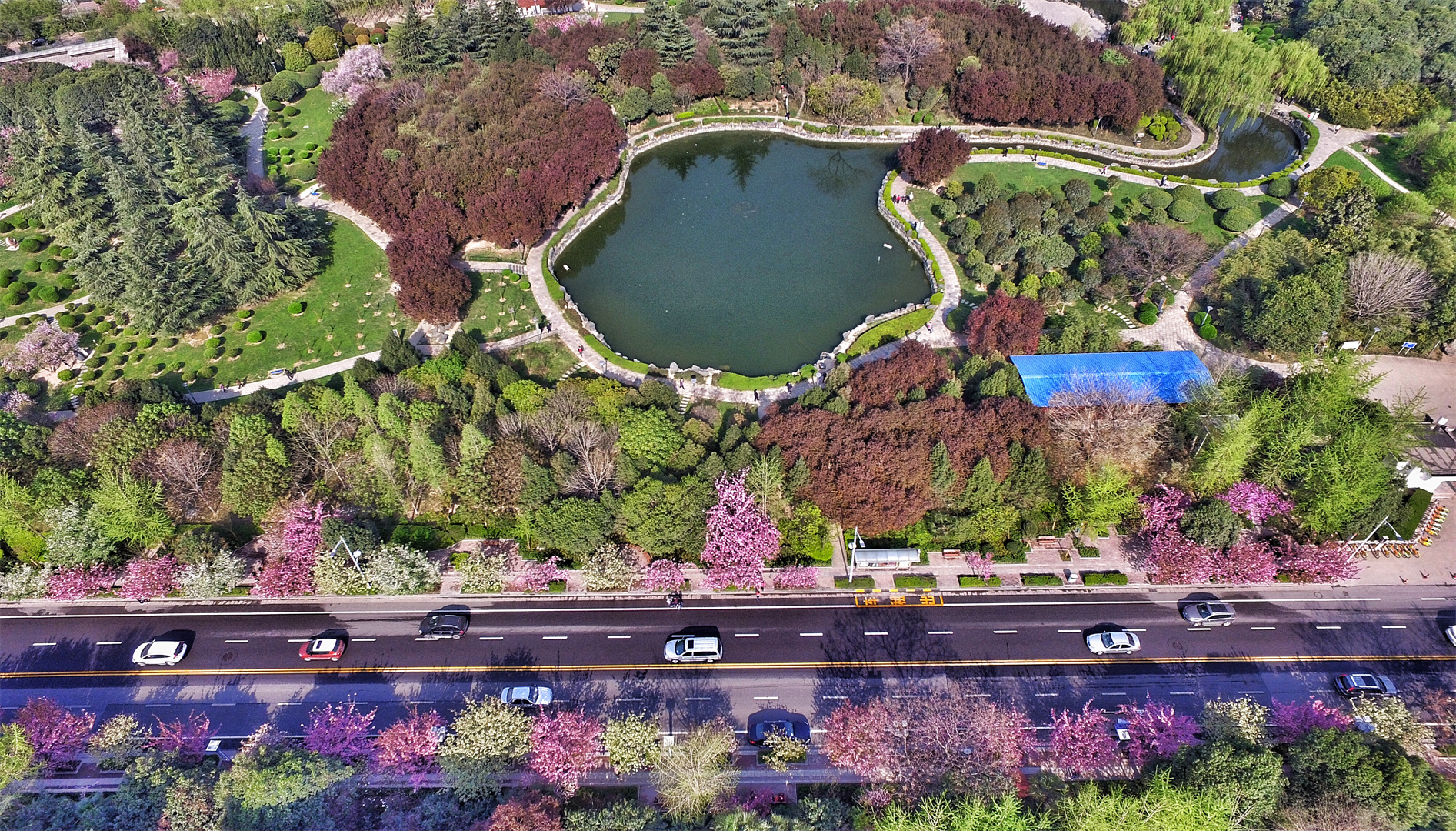 快来pick 谁才是高新最靓的GAI