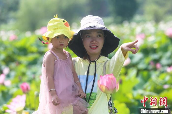 图为一位游客抱着孩子在赏莲。　刘力鑫 摄