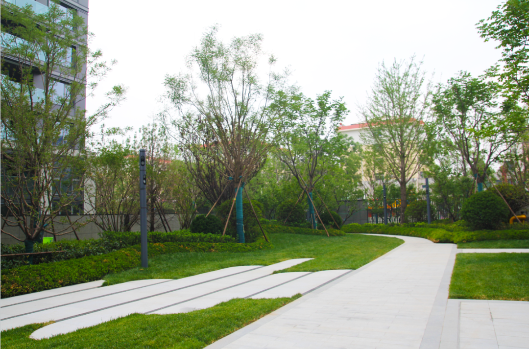 在崇德园,归家的每一步都是一场关于美的旅行,无