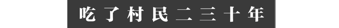 云南大象家族出走地村民:它们吃了我们二三十年