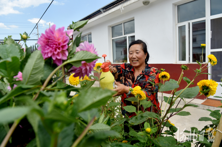 2021年7月9日,河北省张家口市宣化区塔儿村乡集中安置点新村内,农民在新居整理花卉。通讯员陈晓东摄影报道