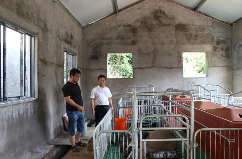 景德镇浮梁县西湖乡桃墅村：从省定贫困村向省级生态村的蝶变