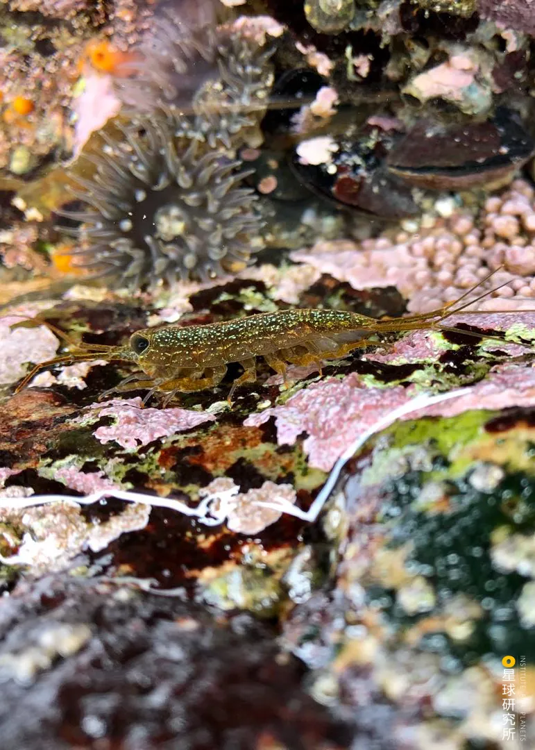 ����̨�庣Ͽ�ķ羰��ƽ̶�����