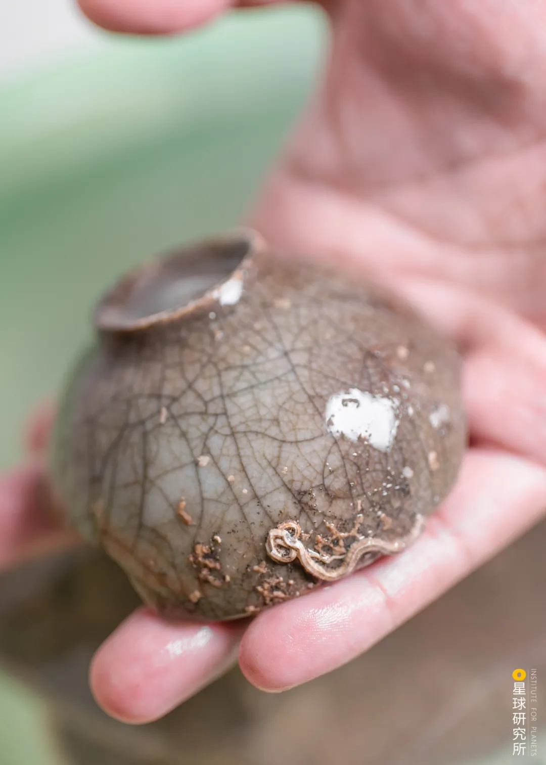 ����̨�庣Ͽ�ķ羰��ƽ̶�����