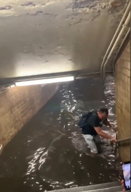 纽约暴雨 洪流猛灌地铁站：瞬间齐腰深