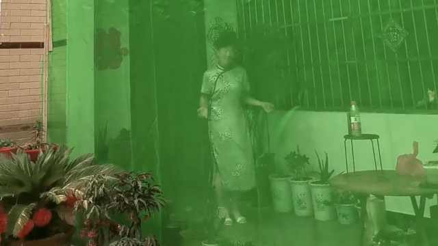 村民给房子罩上8米蚊帐防蚊子：选的养眼绿，效果不错_凤凰网视频_凤凰网