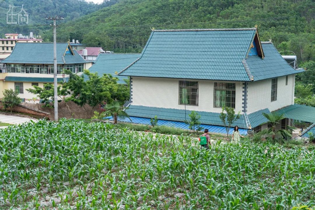 云南大象家族出走地村民:它们吃了我们二三十年