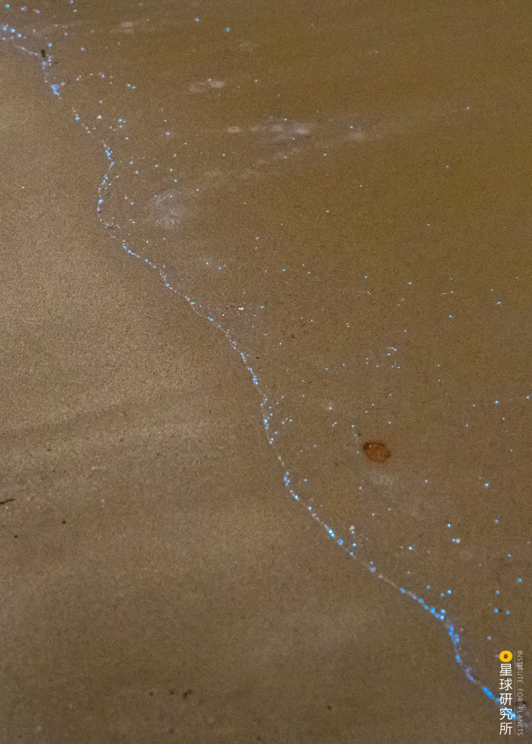 ����̨�庣Ͽ�ķ羰��ƽ̶�����