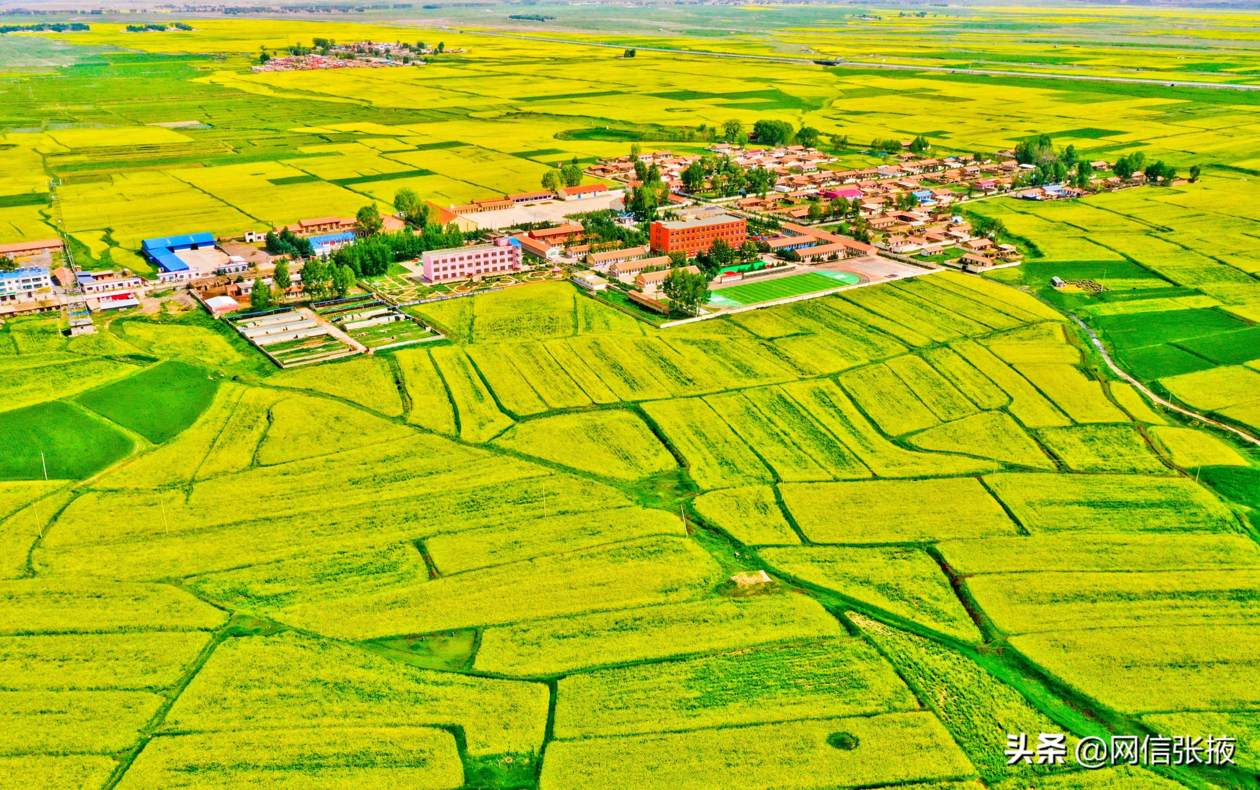 甘肃张掖：美丽乡村入画来