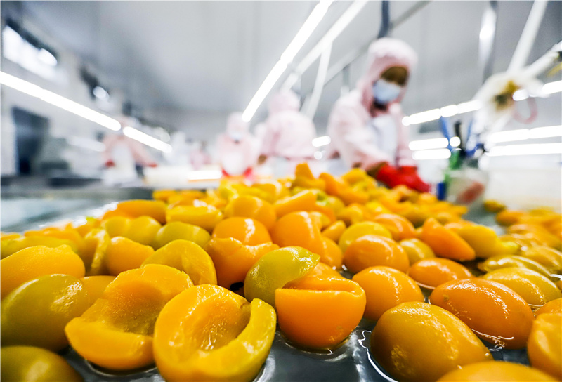 7月14日,工人在河北省遵化市一家罐头加工企业车间加工鲜桃罐头.