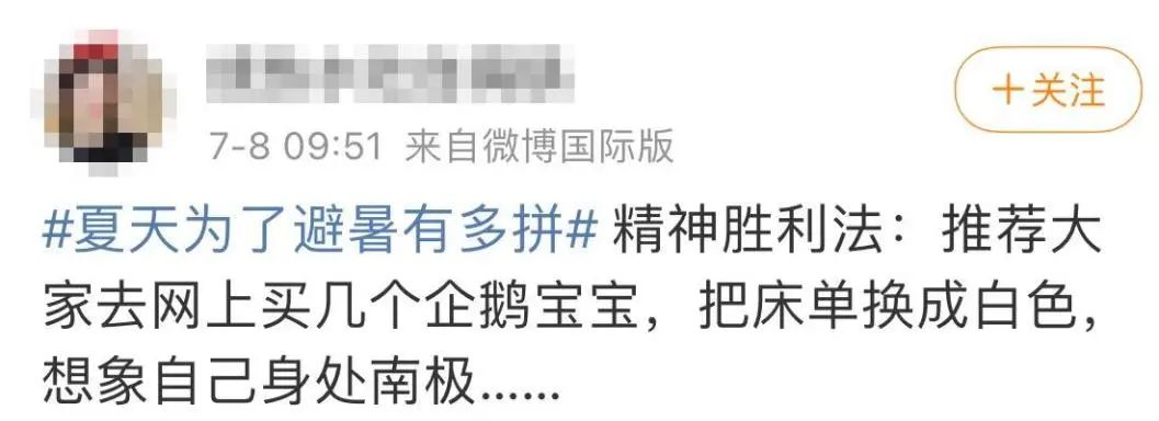 不瞒你说 我们这儿的夏天19℃