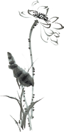 舌尖上的文创，杏皮茶带来的“敦煌味道”