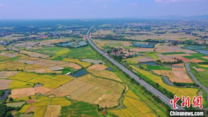 7月13日，位于江西省吉安市泰和县马市镇境内的大广高速公路穿越田园，一路风景美如画。　邓和平 　摄