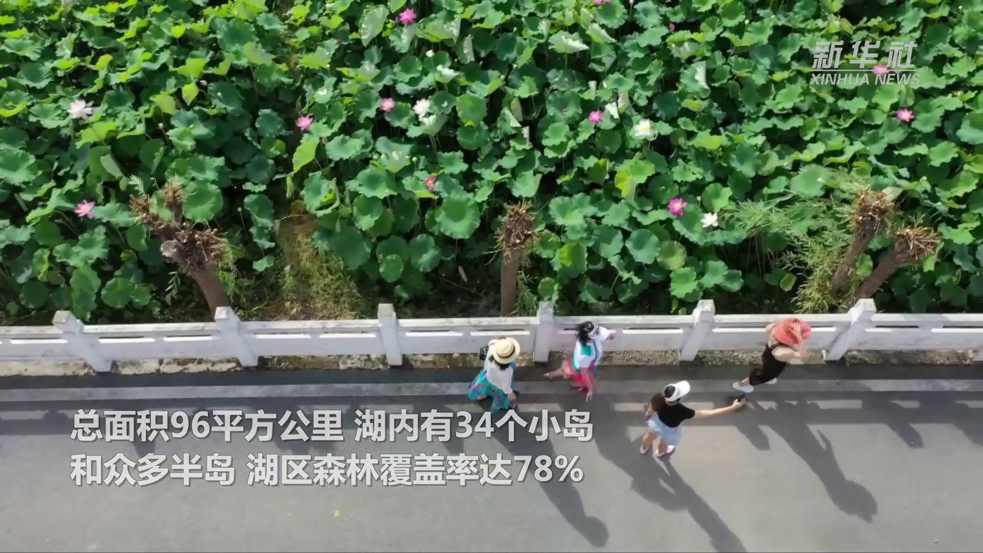 美好生态看这里！飞阅贵州余庆飞龙湖国家湿地公园