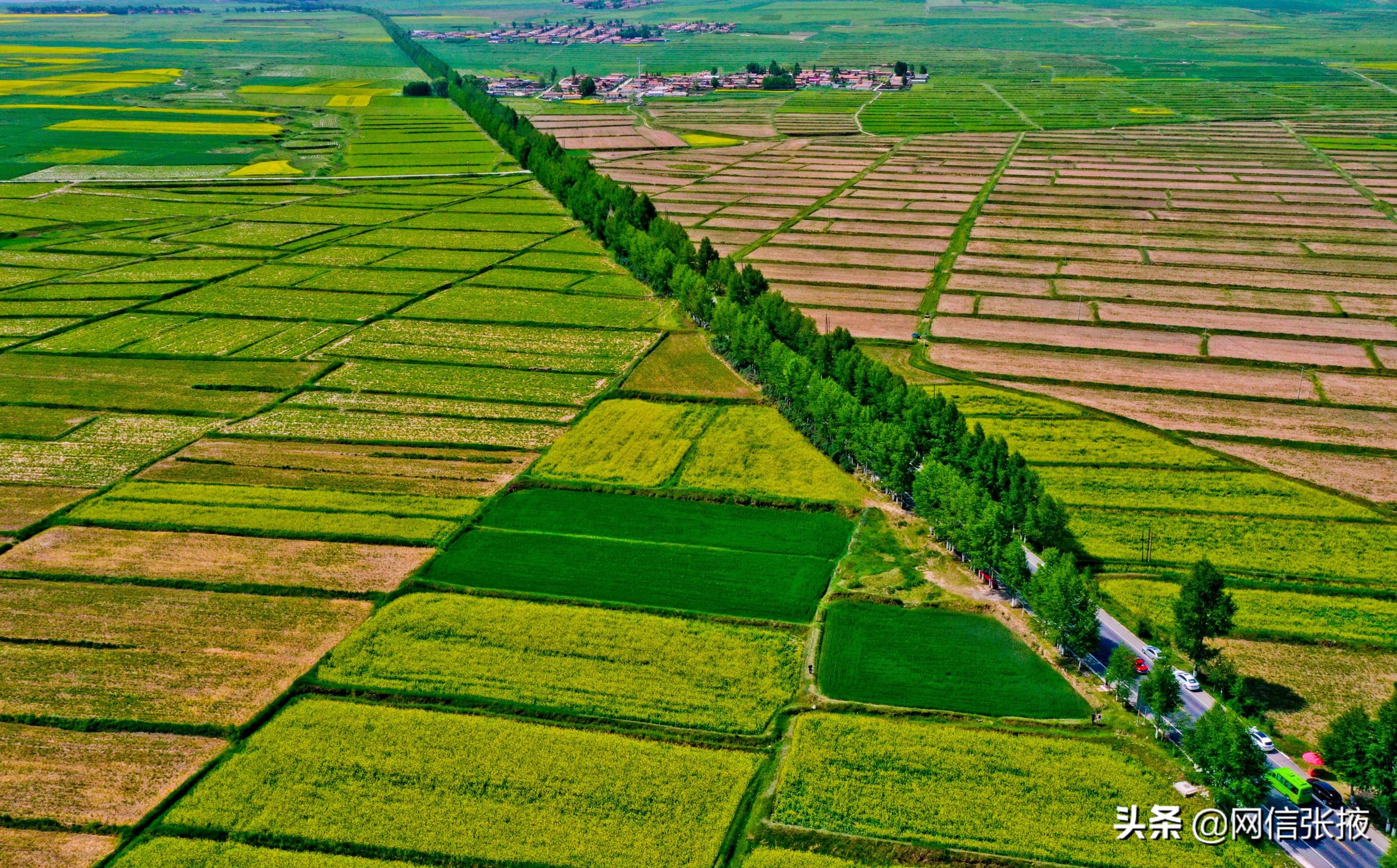 甘肃张掖：美丽乡村入画来