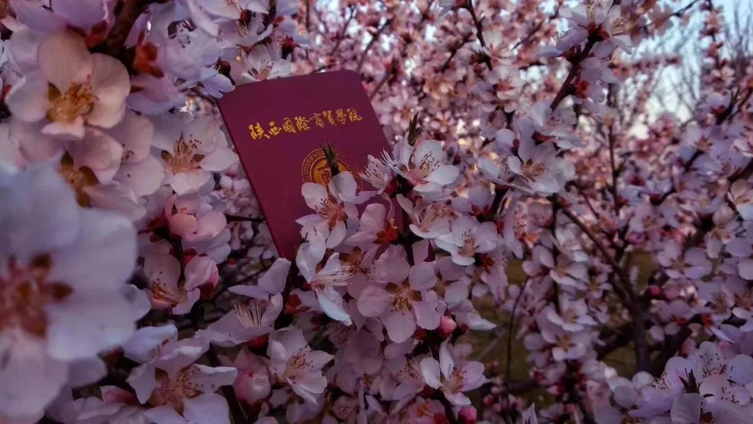 陕西国际商贸学院校园美景