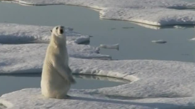 笼罩在全球气候变暖下的北极，为何是气候变化的敏感区？