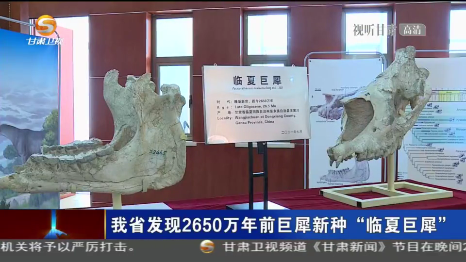 史前巨兽建“家谱”，有“身份”了！