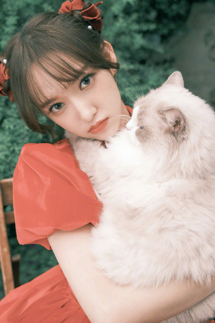 程潇抱猫咪拍生日写真 穿红色露背裙气质好绝_凤凰网娱乐_凤凰网