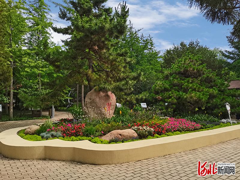 北戴河区多维度提升公园环境。