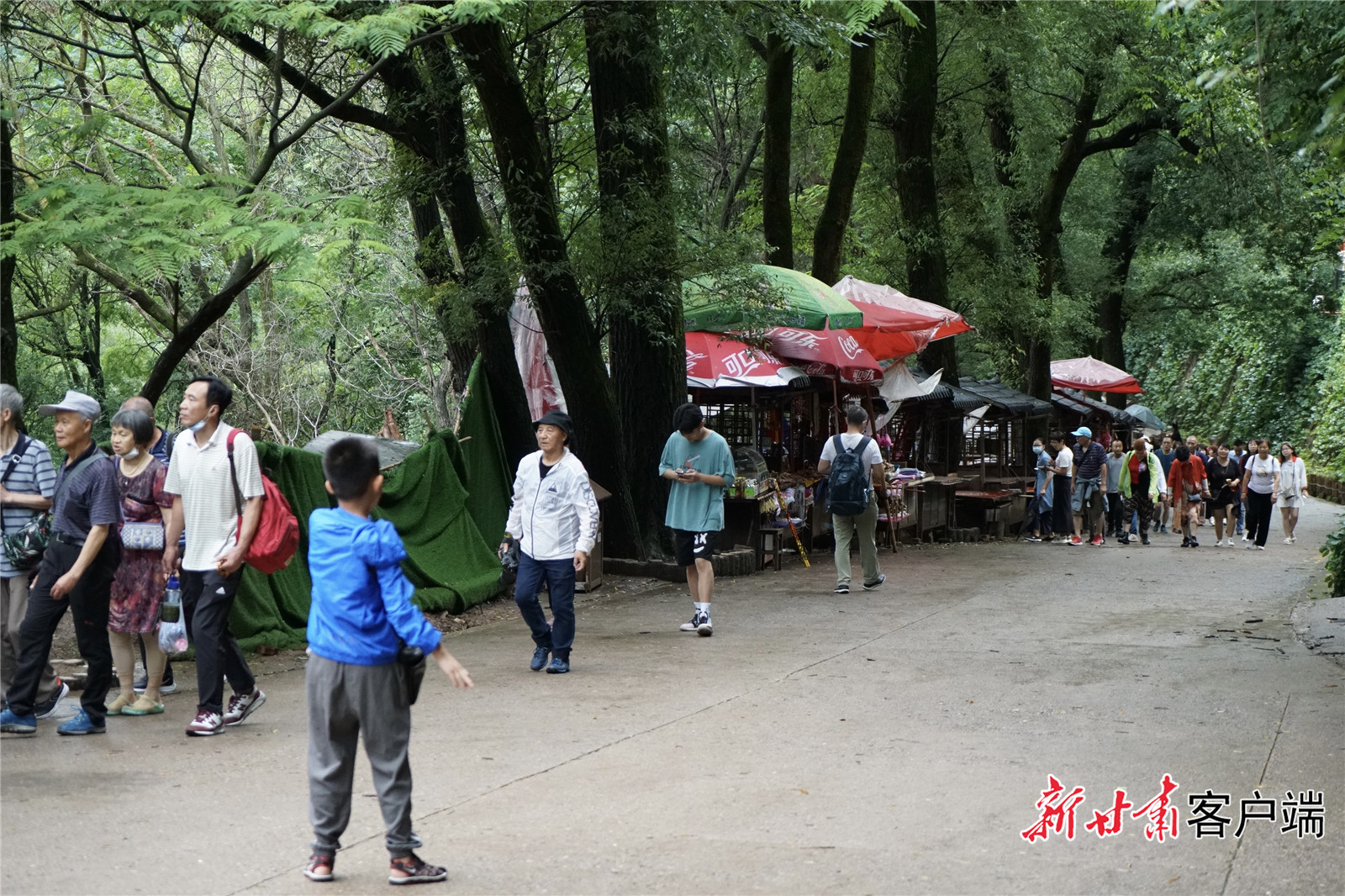 麦积山吸引众多游客前来“打卡”