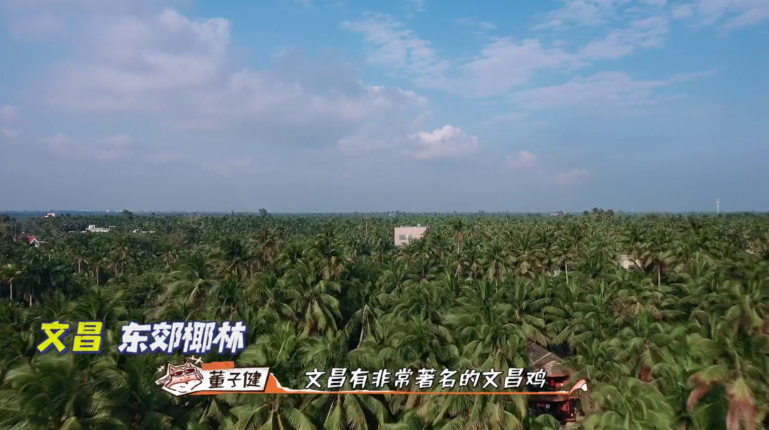 继续上路 跟着《恰好是少年》游云南和海南