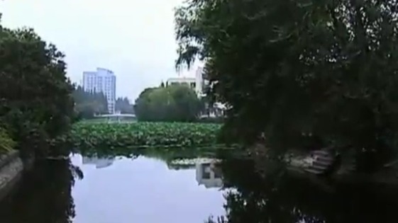 曾经有一种说法“玩在复旦，住在交大，吃在同济，爱在华师大”