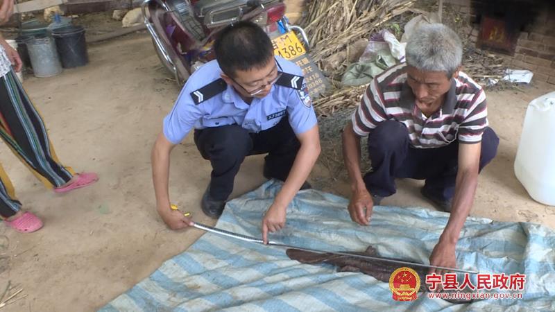 甘肃宁县首次发现娃娃鱼个体  图片来源：宁县人民政府