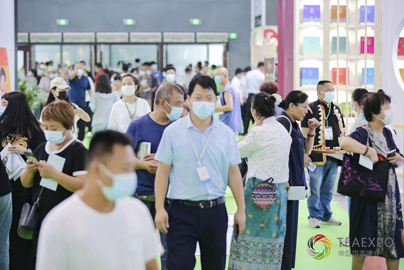 华巨臣茶博会石家庄首展盛大开幕，尽显标杆风采！