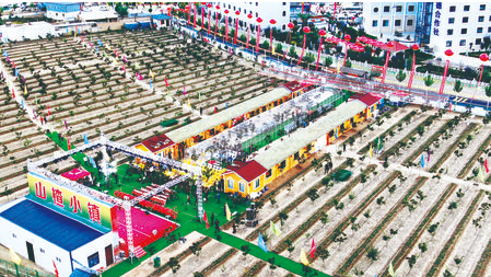 通渭县常家河镇“山楂小镇”千亩山楂园