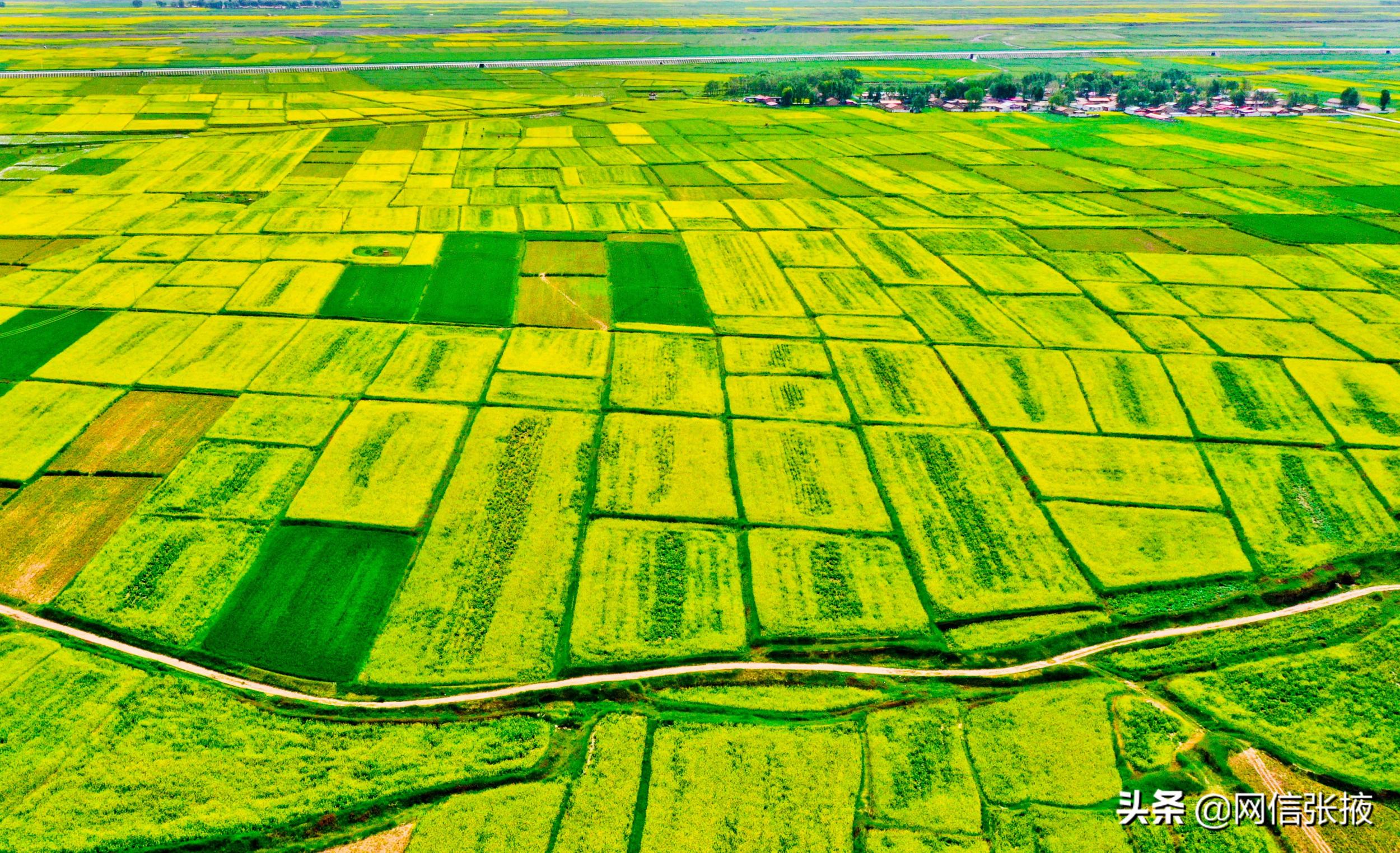 甘肃张掖：美丽乡村入画来