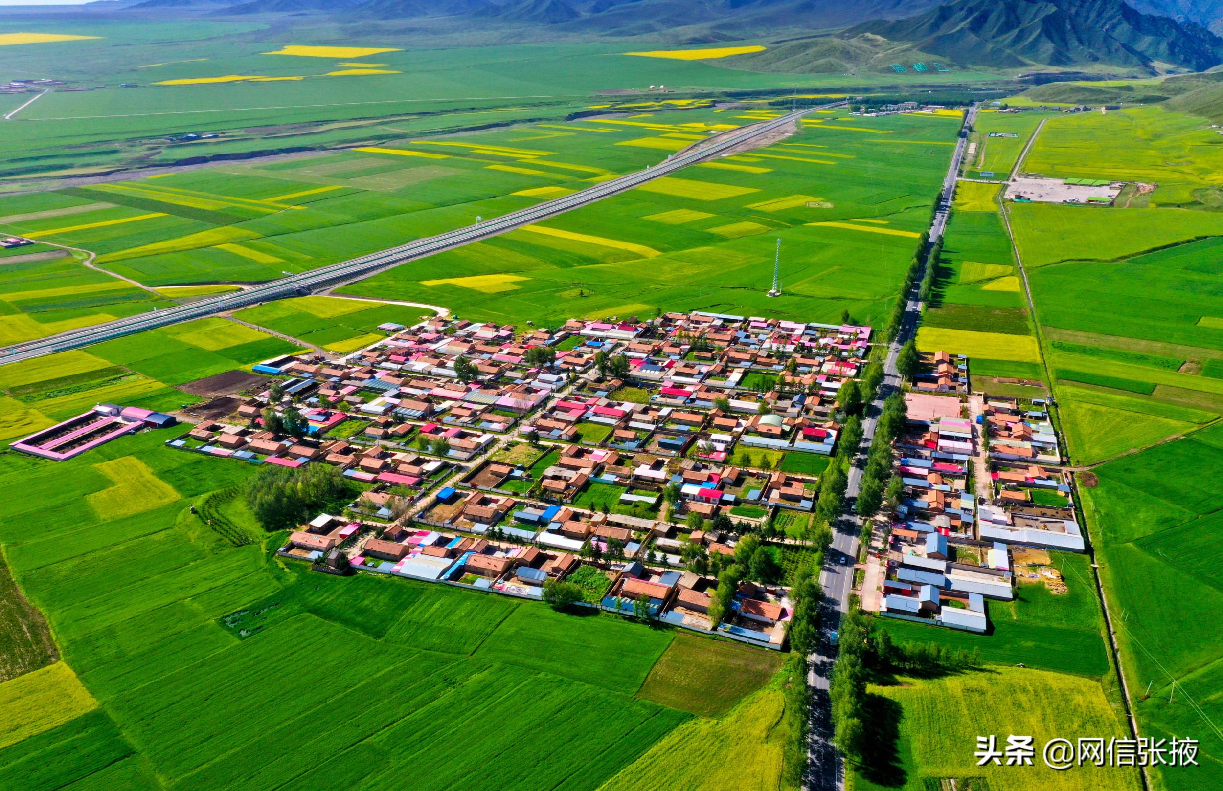 甘肃张掖：美丽乡村入画来