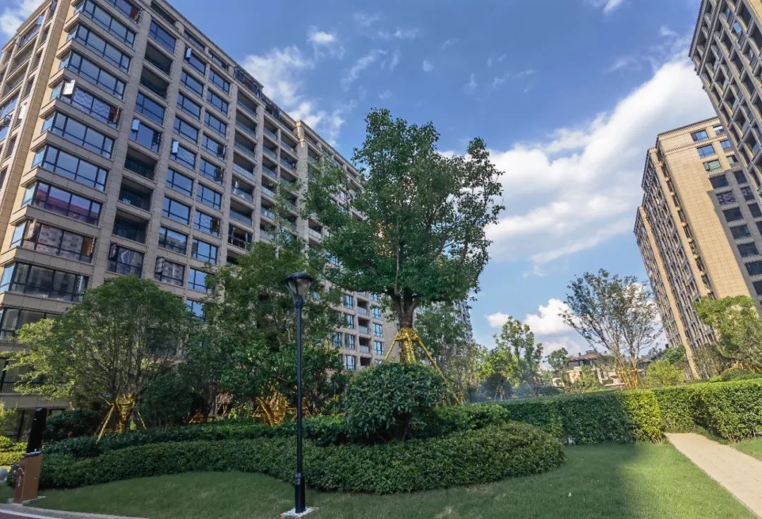 "六万人摇"跌落神坛!西溪公馆"试水"3个月 成交价在未来科技城垫底