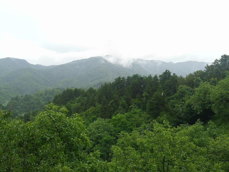 binary_middle (4).jpg