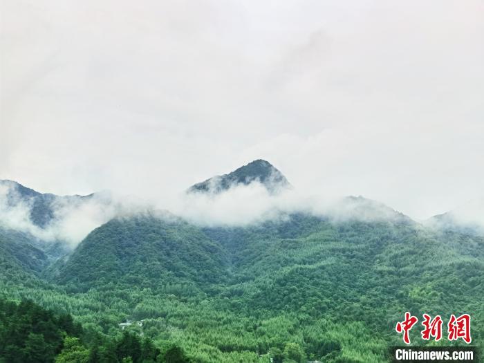 麦积山石窟周边云雾缭绕 张婧 摄