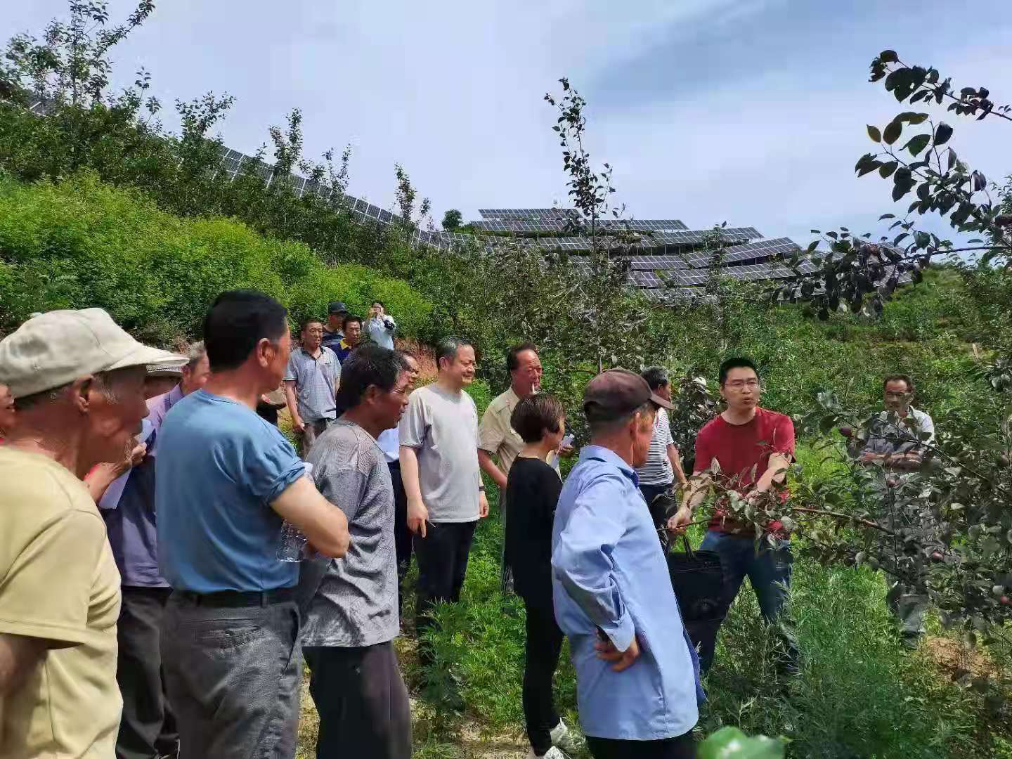 驻村工作组进村调研 王占平摄