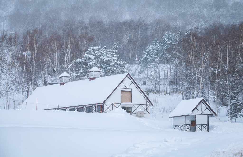 札幌的雪图片