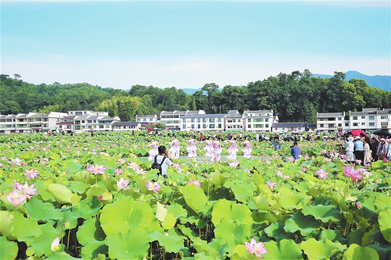 广昌县:万亩莲花开(图)