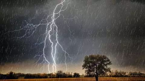 兄妹3人雷雨天大树下自拍遭雷击