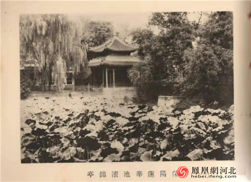 图4:来自古莲花池